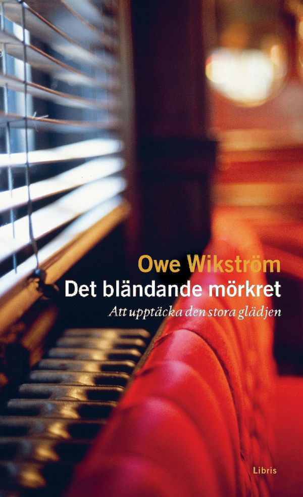 Det bländande mörkret : Att upptäcka den stora glädjen | 1:a upplagan