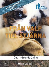 Från valp till stjärna del 1: Grundträning