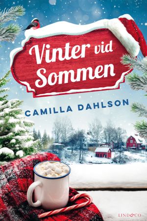 Vinter vid Sommen