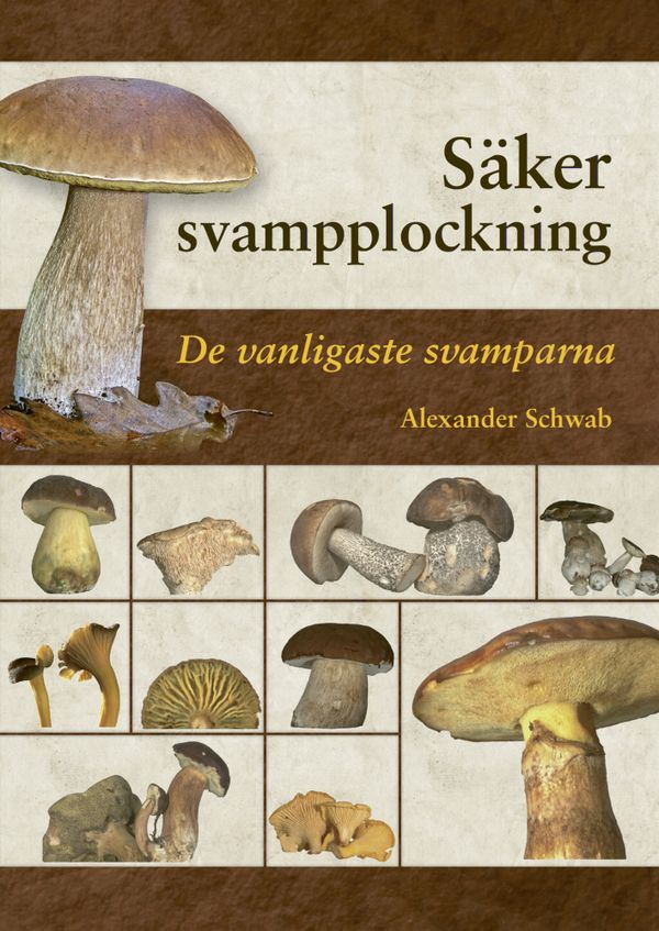 Säker svampplockning : de vanligaste svamparna | 0:e upplagan