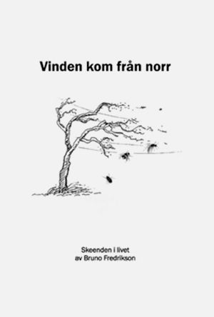 Vinden kom från norr