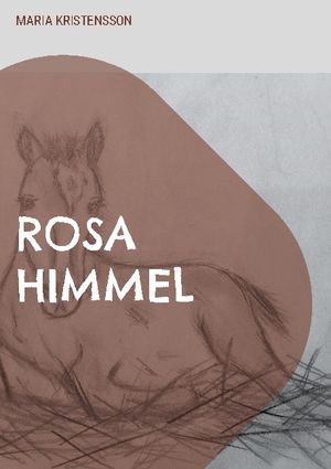 Rosa himmel : en berättelse om en pojkes hjälteinsats | 1:a upplagan