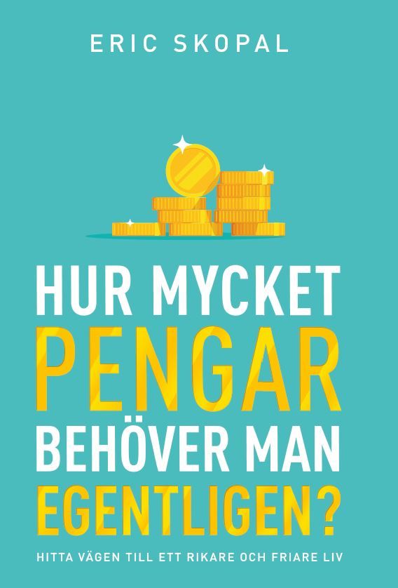 Hur mycket pengar behöver man egentligen? | 0:e upplagan