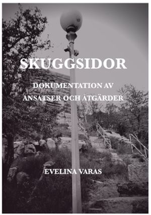 Skuggsidor : Dokumentation av ansatser och åtgärder