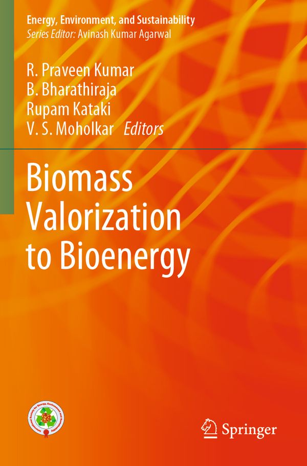 Biomass Valorization to Bioenergy | 1:a upplagan