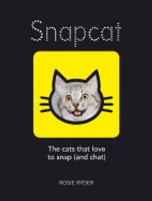 Snapcat - the cats who love to snap (and chat)