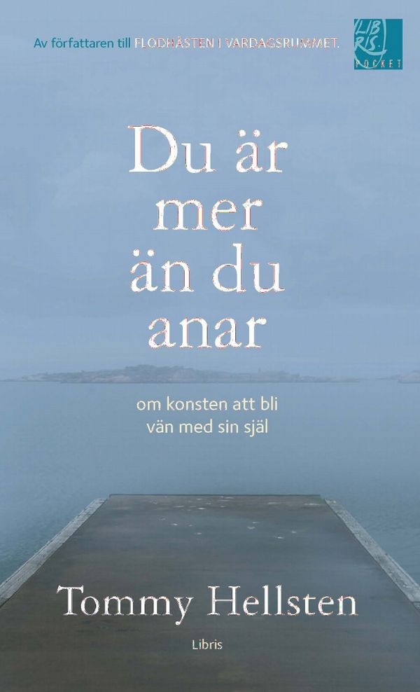 Du är mer än du anar | 1:a upplagan