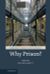 Why Prison?