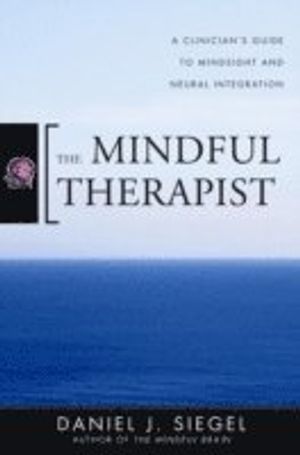 The Mindful Therapist