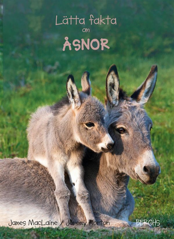 Lätta fakta om åsnor | 0:e upplagan