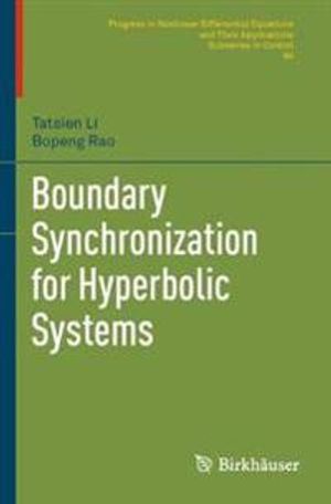 Boundary Synchronization for Hyperbolic Systems (Progress in Nonlinear Differential Equations and Their Applications) | 1:a upplagan