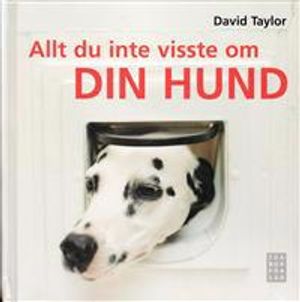 Allt du inte visste om din hund