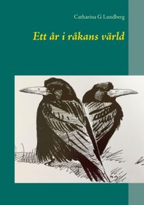 Ett år i råkans värld