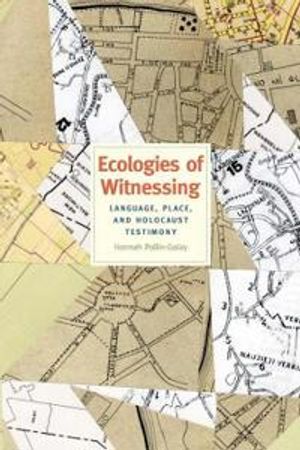 Ecologies of Witnessing