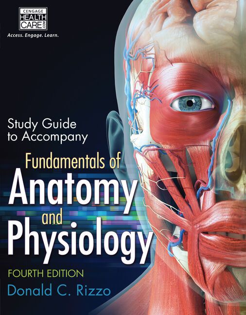 Study Guide for Rizzo's Fundamentals of Anatomy and Physiology, 4th | 4:e upplagan
