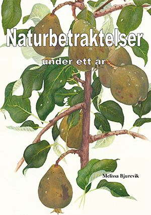 Naturbetraktelser under ett år