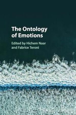 The Ontology of Emotions