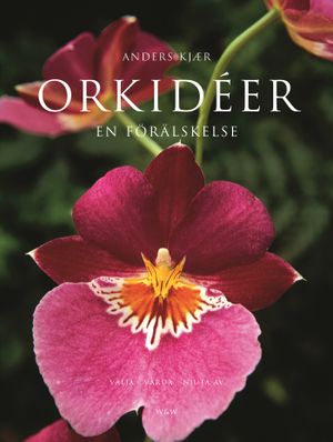 Orkidéer : en förälskelse