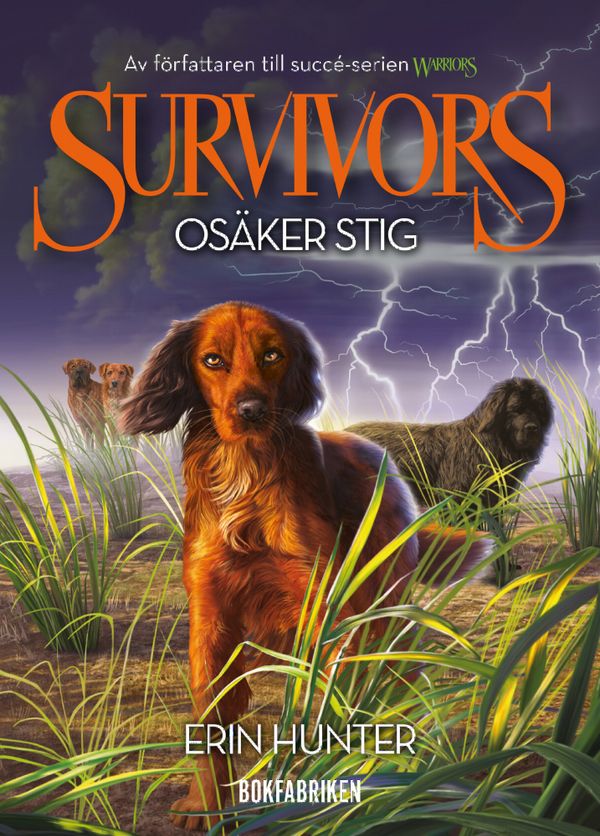 Survivors 1:4 Osäker stig | 0:e upplagan