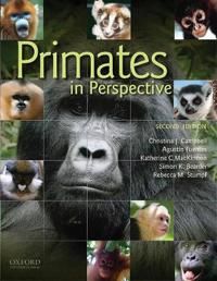Primates in Perspective | 2:a upplagan