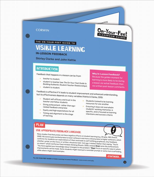 The On-Your-Feet Guide to Visible Learning | 1:a upplagan