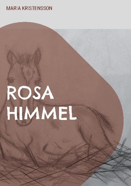 Rosa himmel : en berättelse om en pojkes hjälteinsats - Maria Kristensson - Upplaga 1