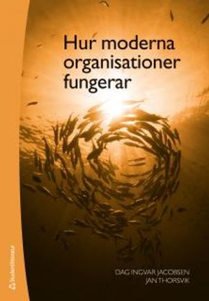 Hur moderna organisationer fungerar | 4:e upplagan