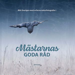 Mästarnas goda råd | 1:a upplagan