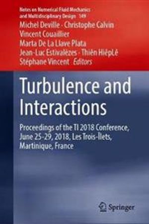 Turbulence and Interactions | 1:a upplagan