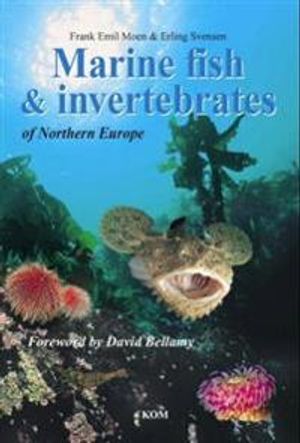 Marine fish and invertebrates of Northern Europe