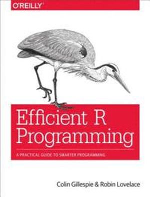 Efficient R Programming | 1:a upplagan