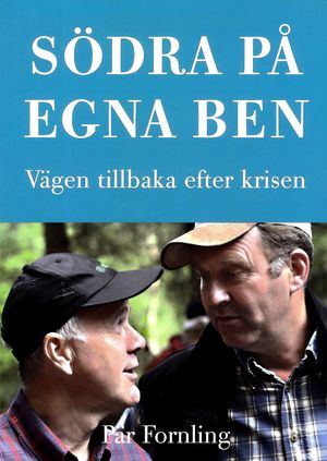 Södra på egna ben : vägen tillbaka efter krisen