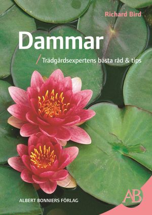 Dammar : trädgårdsexpertens bästa råd & tips