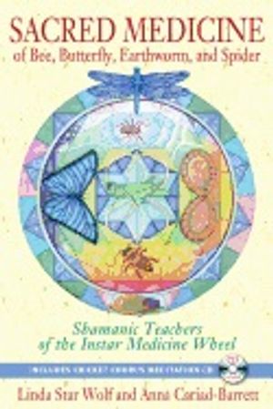 Sacred medicine of bee, butterfly, earthworm, and spider - shamanic teacher