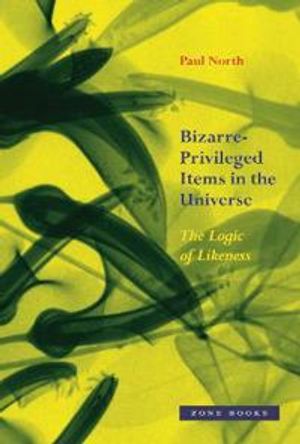 Bizarre–Privileged Items in the Universe – The Logic of Likeness