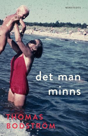 Det man minns | 1:a upplagan