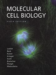 Molecular Cell Biology Sixth Edition