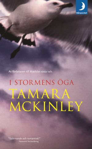 I stormens öga