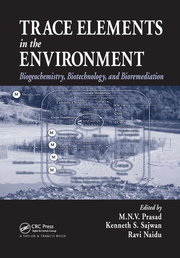Trace Elements in the Environment | 1:a upplagan