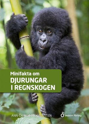 Minifakta om djurungar i regnskogen