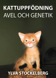 Kattuppfödning avel och genetik