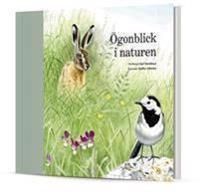 Ögonblick i naturen | 1:a upplagan