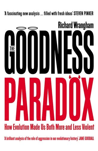 The Goodness Paradox | 0:e upplagan