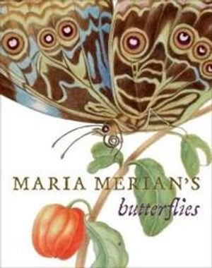 Maria Merian's Butterflies