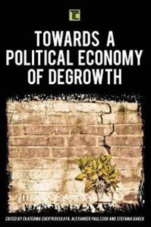 Towards a Political Economy of Degrowth