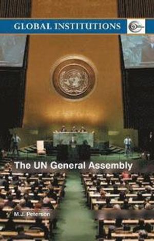 The UN General Assembly