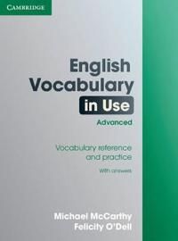 English Vocabulary in Use | 0:e upplagan