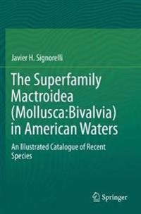 The Superfamily Mactroidea (Mollusca:Bivalvia) in American Waters