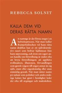 Kalla dem vid deras rätta namn : amerikanska kriser (och essäer) | 0:e upplagan