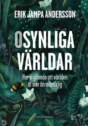 Osynliga världar